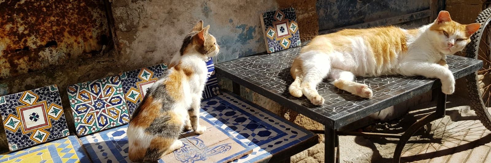 Valerie Beaudoin banner