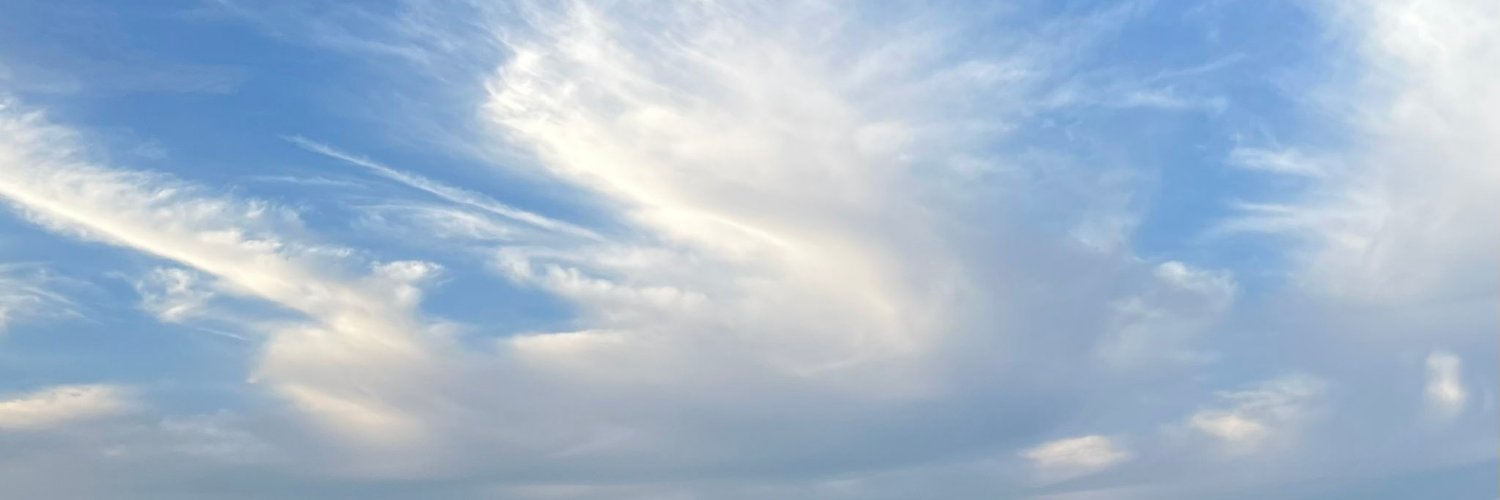 _nimph's profile banner image
