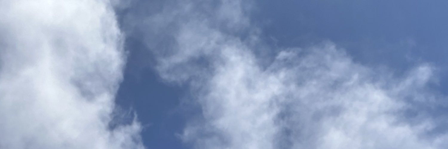 chandlerttorres's profile banner image