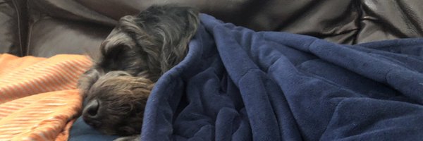 teach_resilient Profile Banner