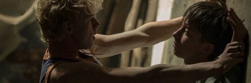 luviticus_'s profile banner image