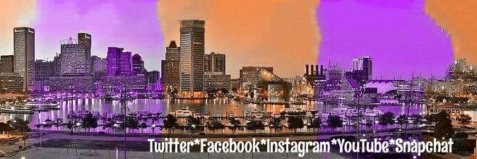BirdlandDaily's profile banner image