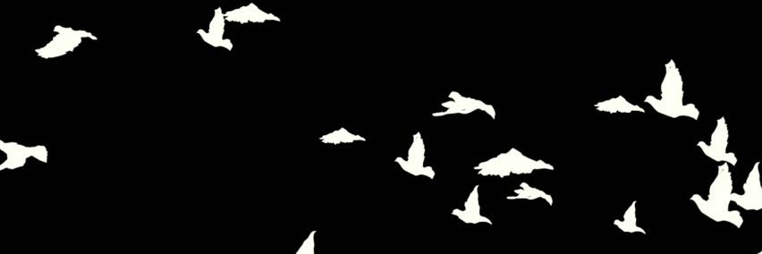 vrettoua's profile banner image