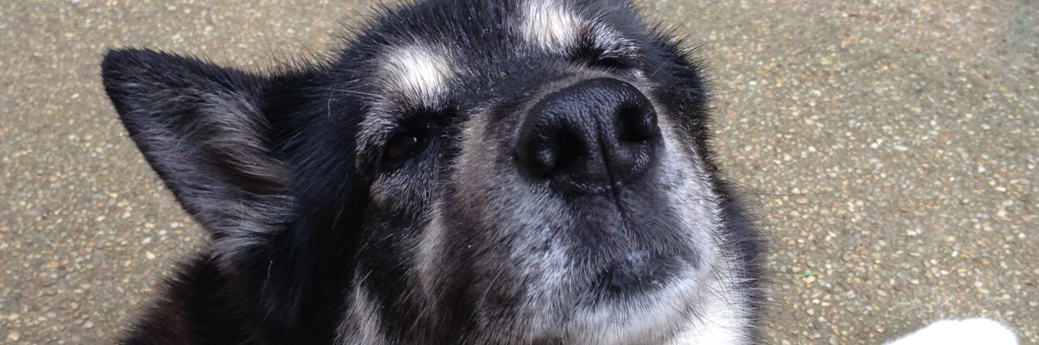 Bella🌈&Ovie banner