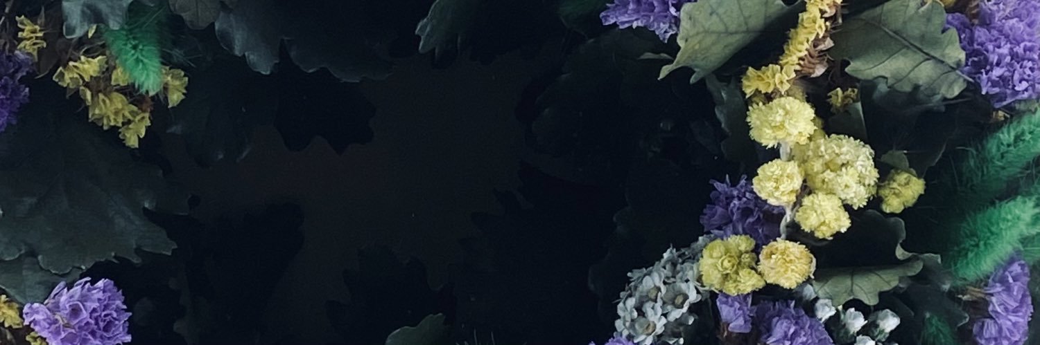 timtoetamy's profile banner image