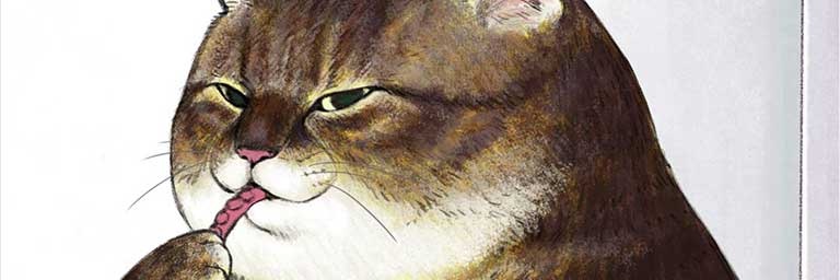 patyeko's profile banner image