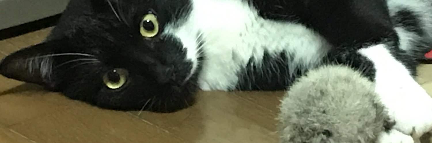 ( ๑´•ω•)۶”りちゃりちゃこ🇺🇸🇯🇵🎶 banner