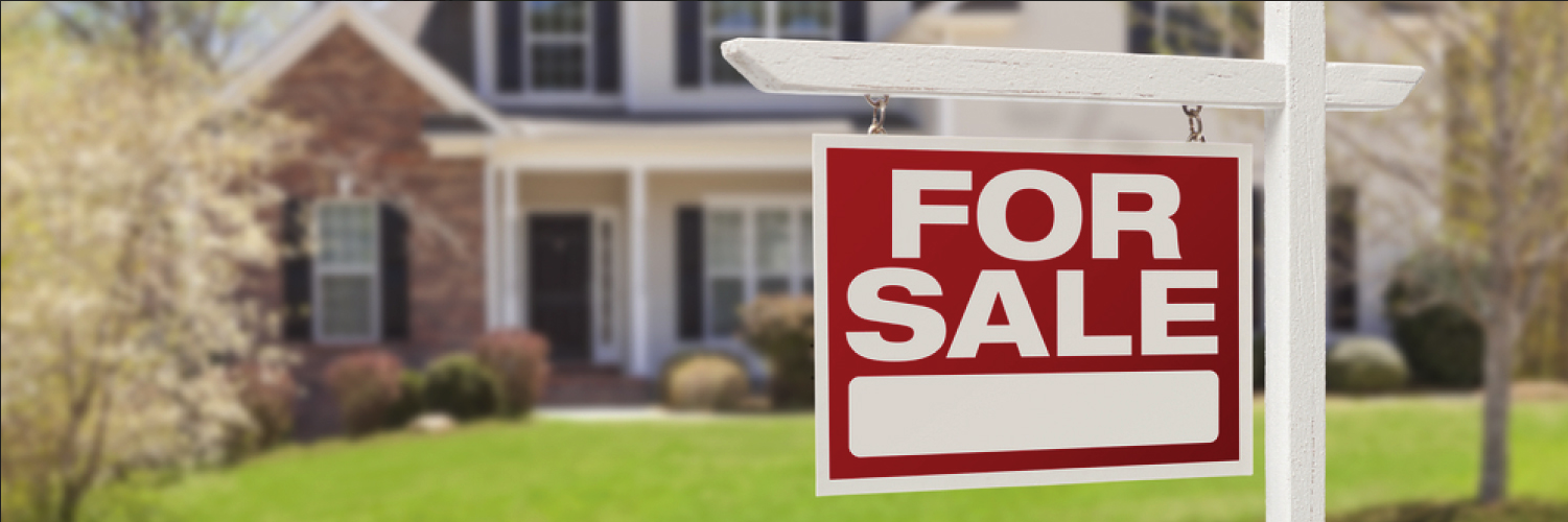 callitsold's profile banner image