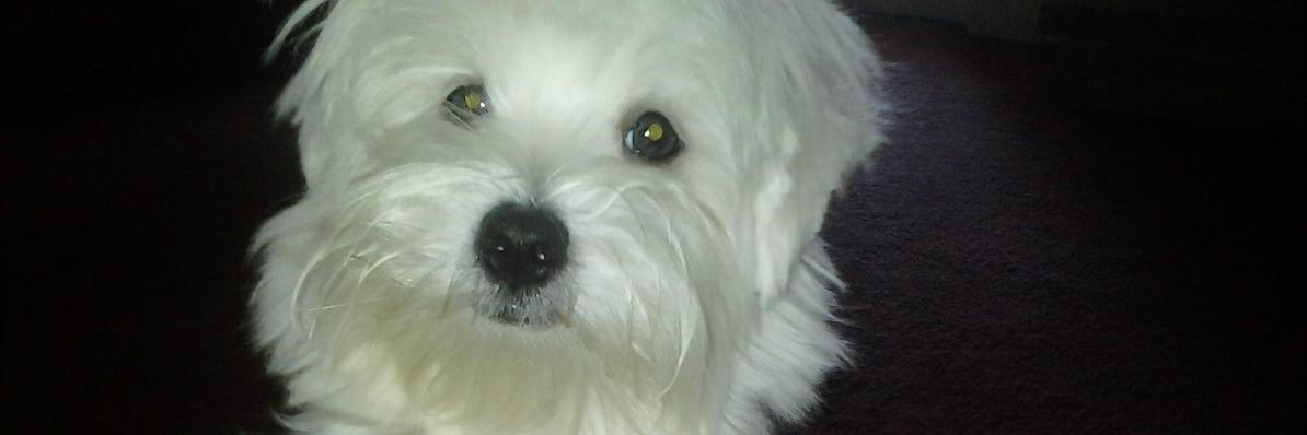 stormy1234's profile banner image