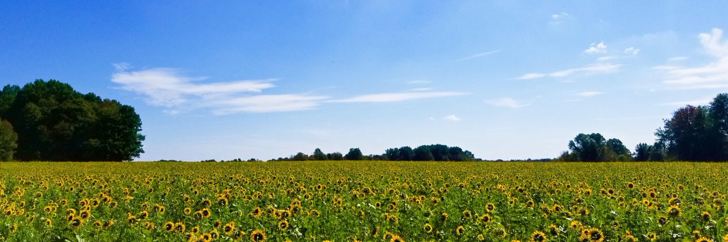 Polly Dolan Profile Banner