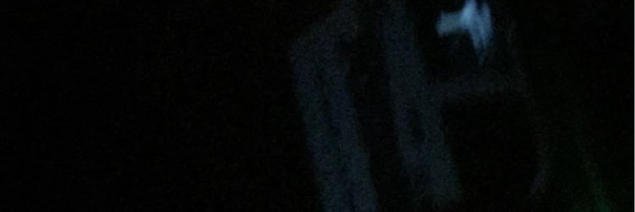 BirdsElite's profile banner image