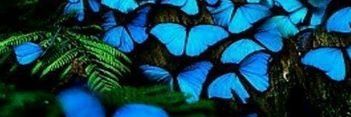 okekan's profile banner image