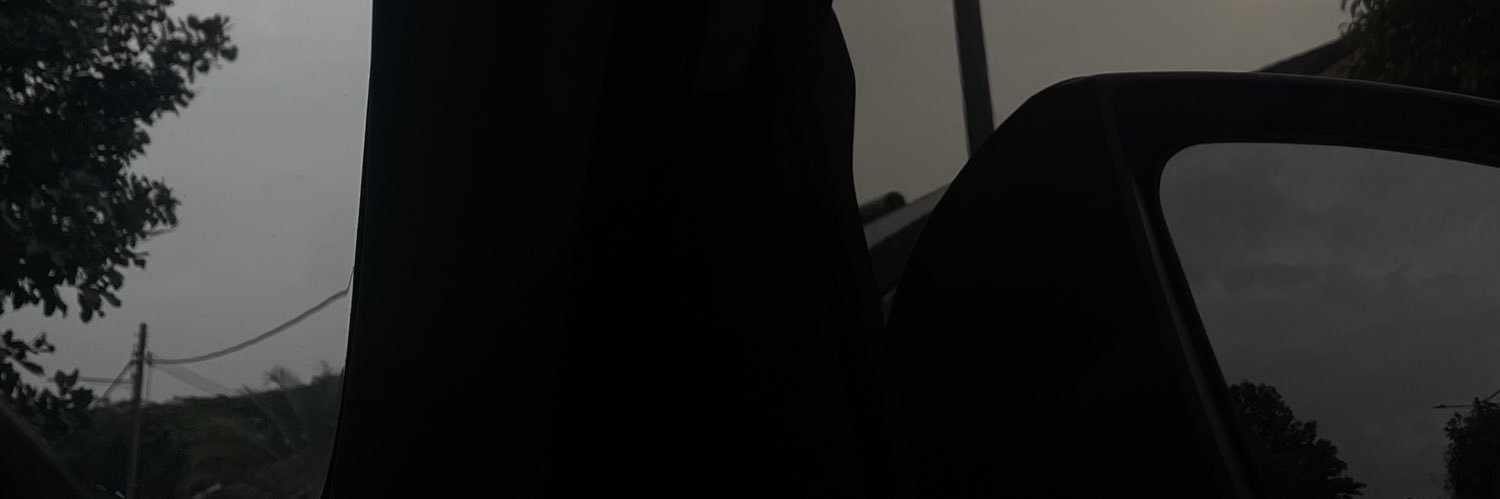amalinzaki's profile banner image