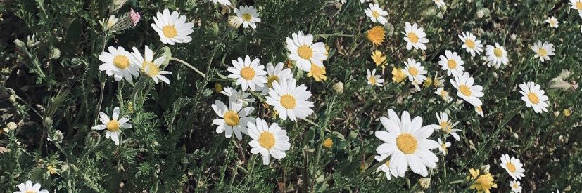maria_mohe's profile banner image