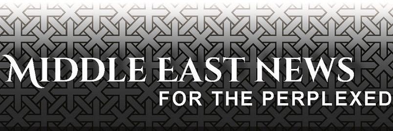 newsperplexed banner