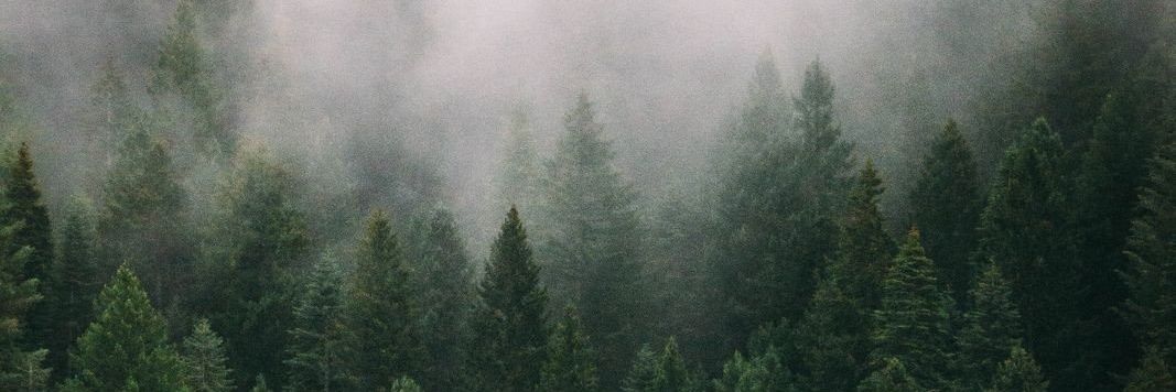 mhungmhing's profile banner image