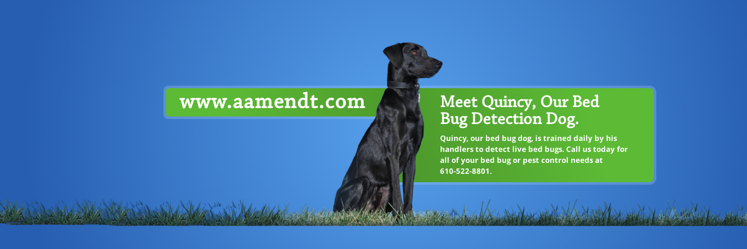AAmendtPest's profile banner image