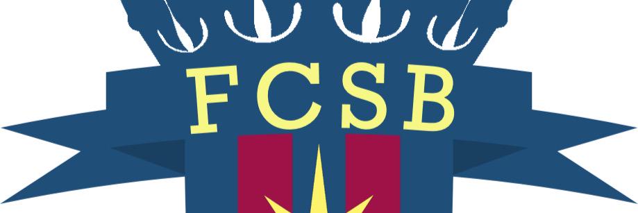 2015FCSB's profile banner image