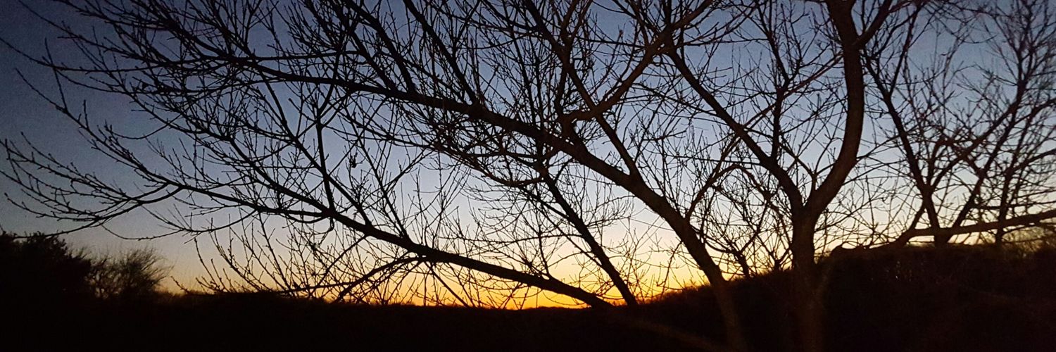 slezak_84's profile banner image
