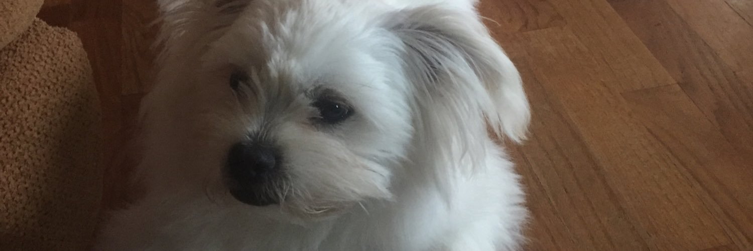 jdpbernal's profile banner image