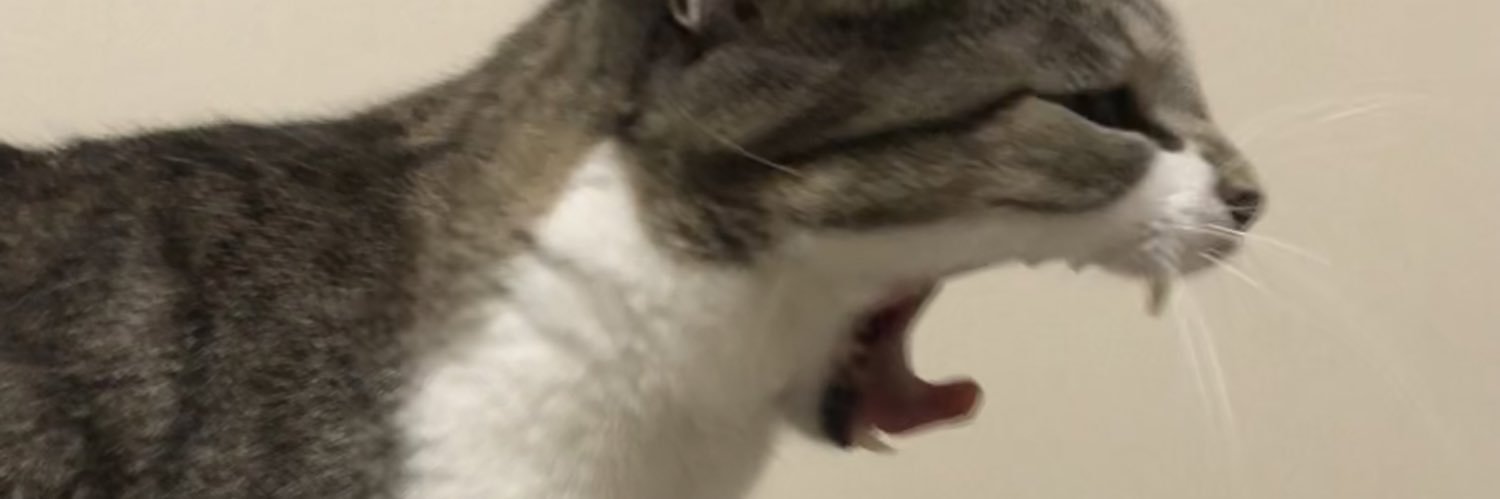 ultraputassa's profile banner image