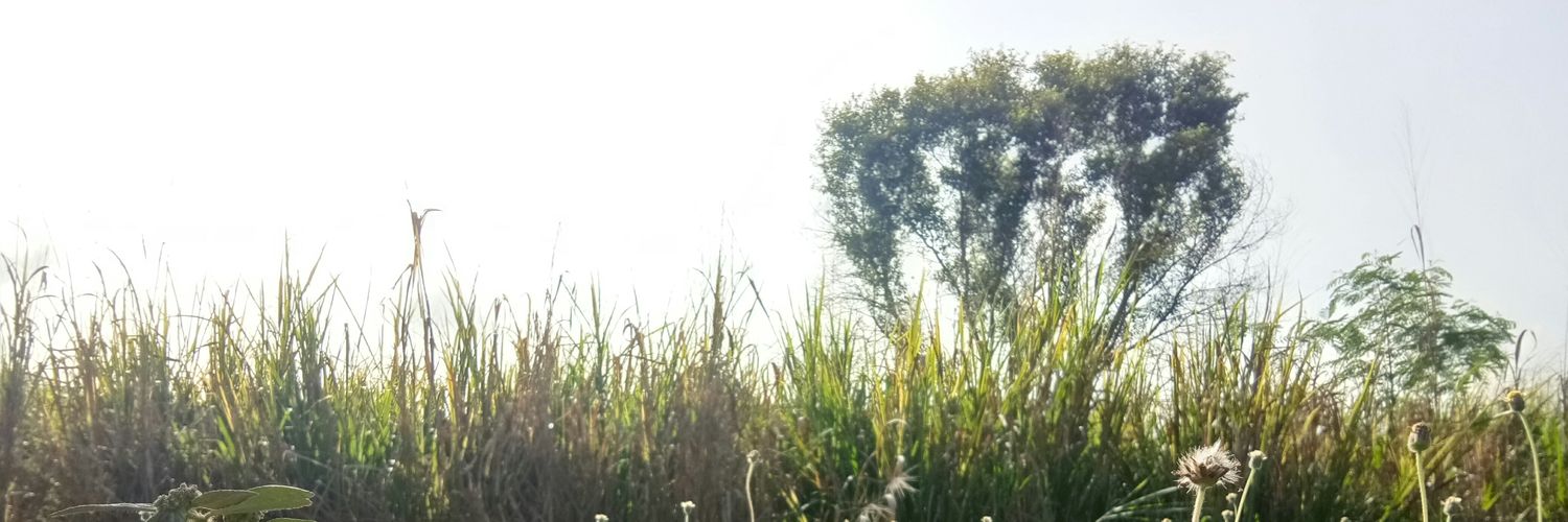 Kra_thin_'s profile banner image