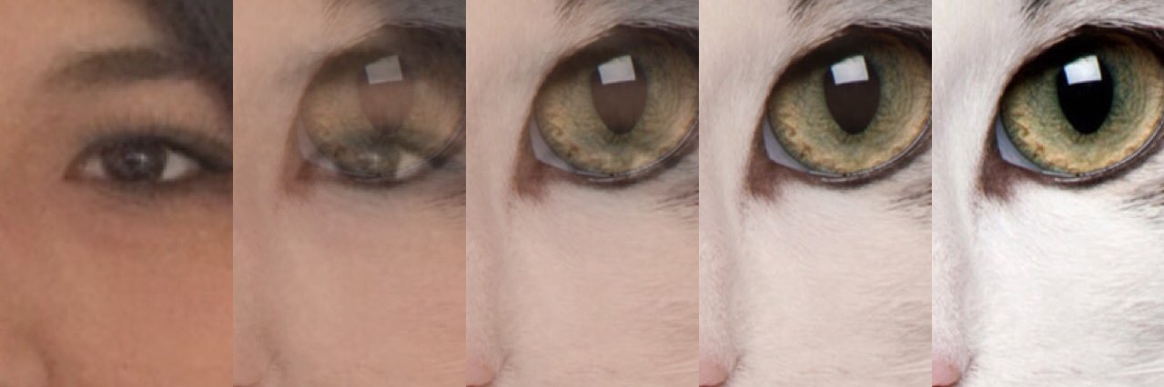 ElyCLocumber's profile banner image