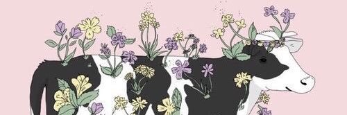 hellobeninas's profile banner image