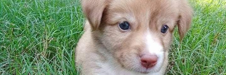 Q_DuDay's profile banner image