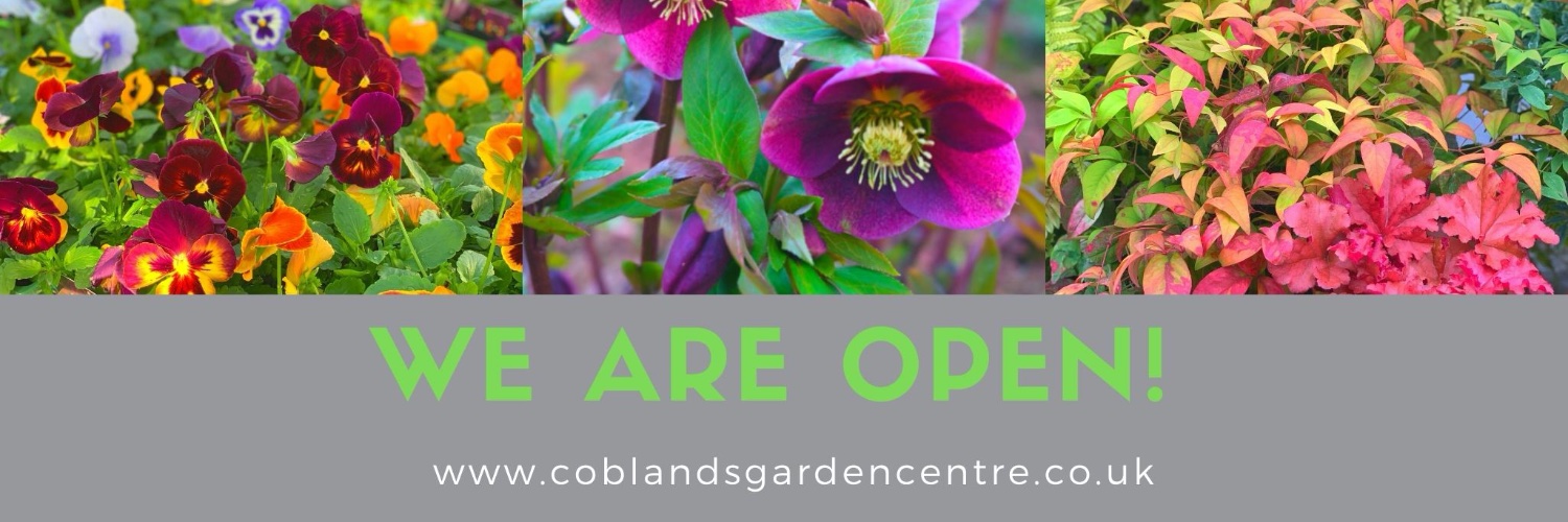 Coblands Garden Centre banner
