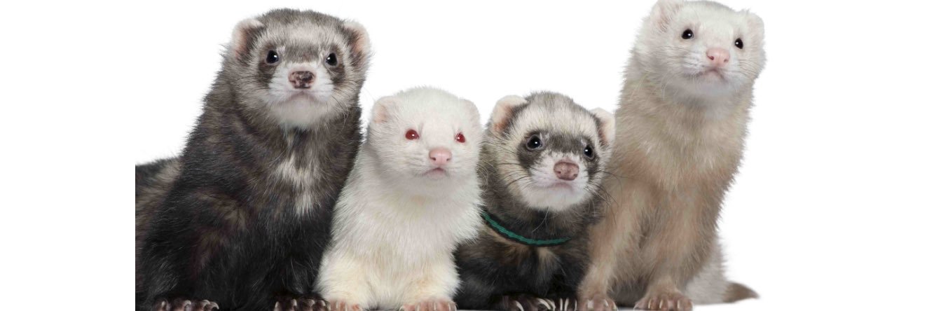 glennfdeaky's profile banner image