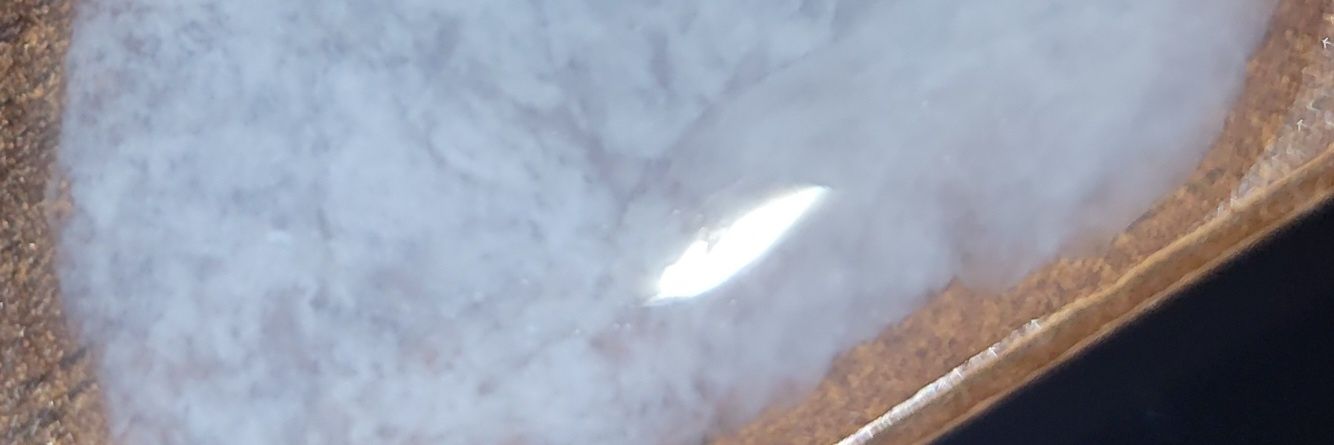 sadat_perry's profile banner image