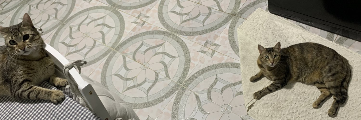 pglfamily's profile banner image