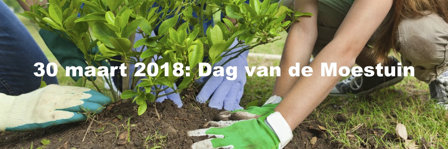 BVIMoois's profile banner image