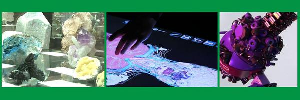 WebsEdgeScience Profile Banner