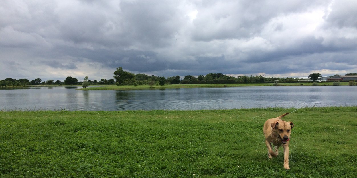 ChloeHawkins1's profile banner image