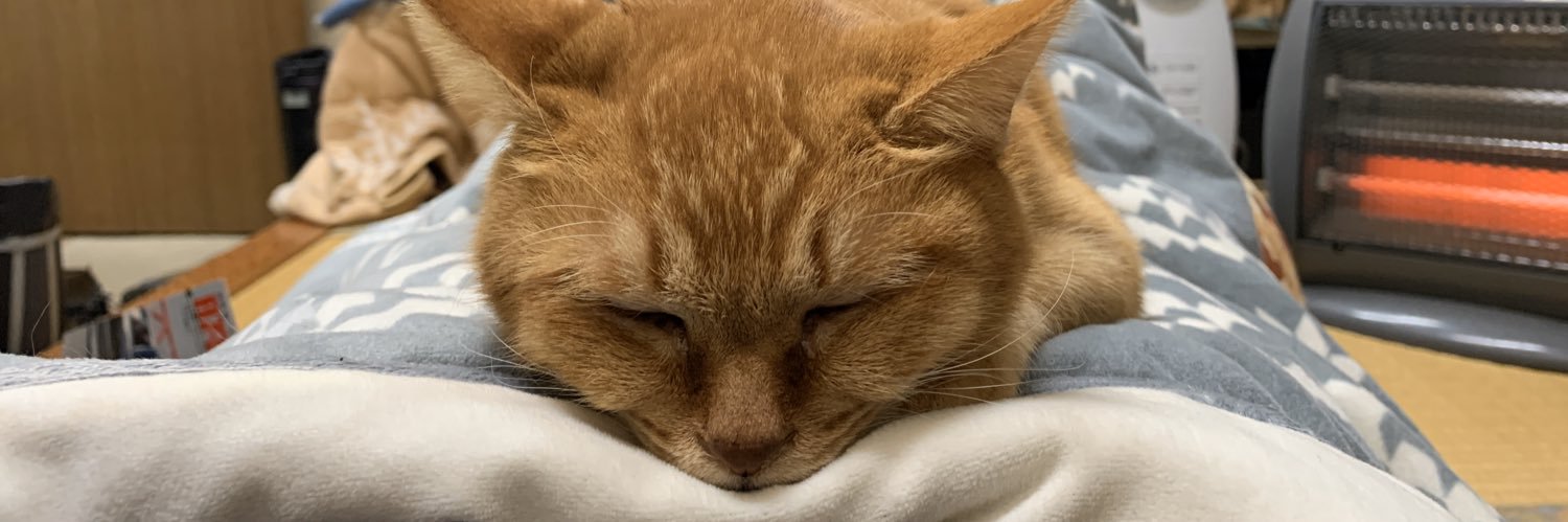 hirokinsreport's profile banner image