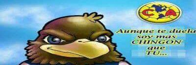 TaveJulio's profile banner image