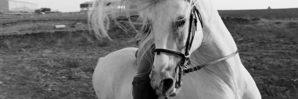 borja110's profile banner image