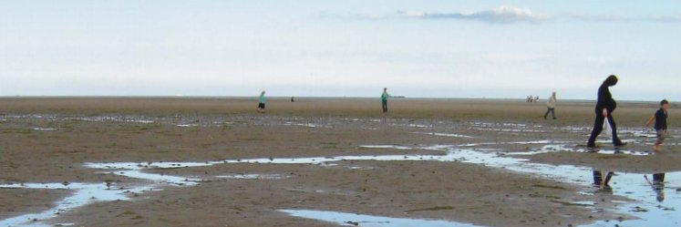 Day of Reflection banner