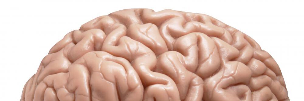 bengarvey_brain's profile banner image