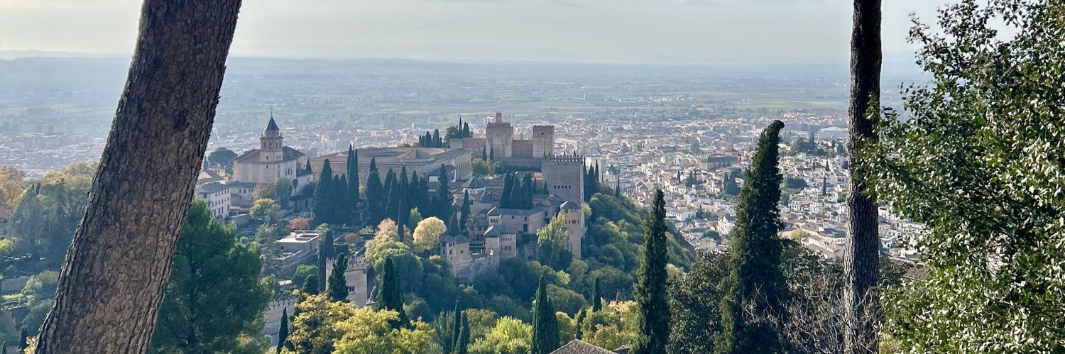 Inma Plata Fernandez banner