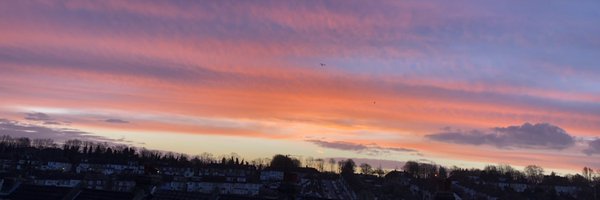 daniellegirvan Profile Banner