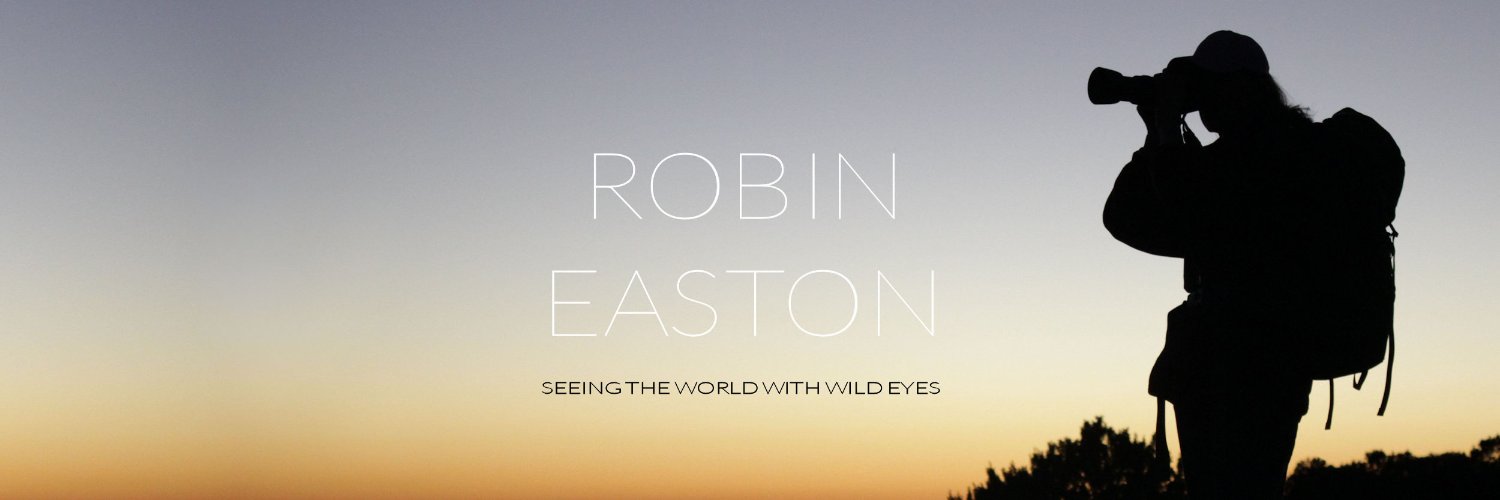 RobinEaston's profile banner image