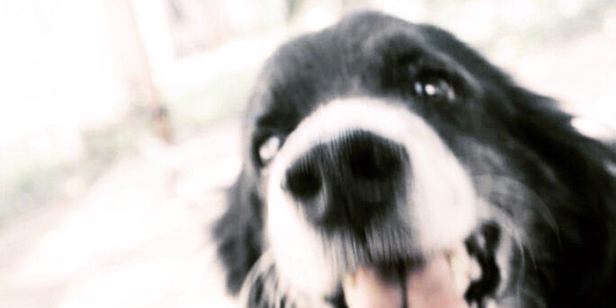 chelseaaDT's profile banner image