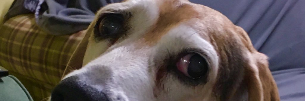 BethMarsoun's profile banner image
