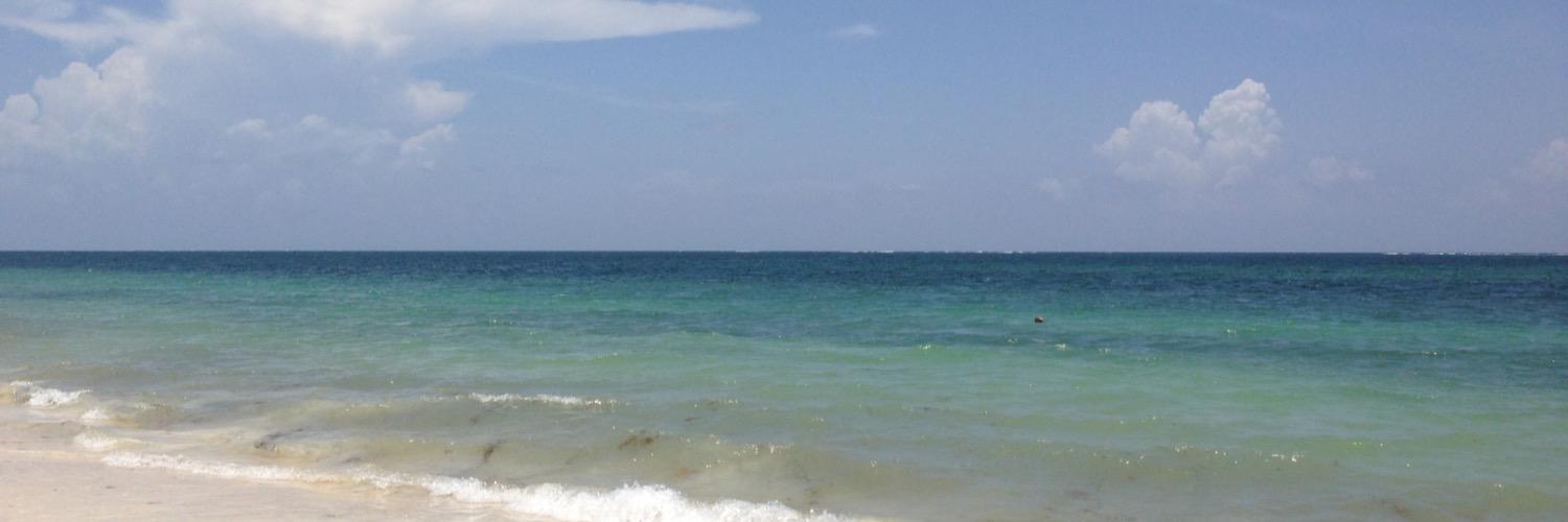 jmbnorth's profile banner image