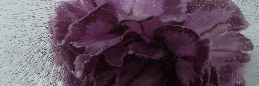 satibeth's profile banner image