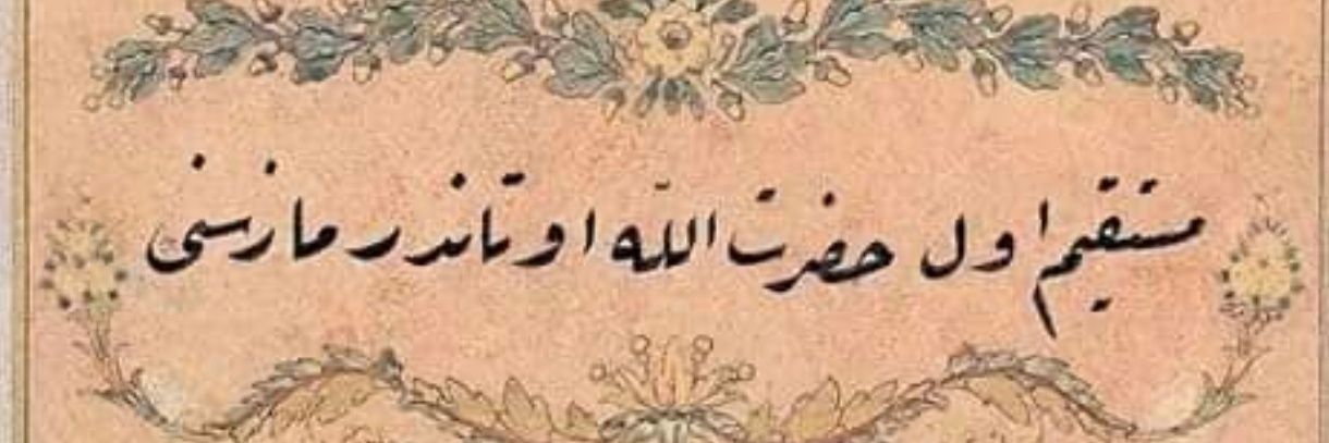 Bahadır Kurbanoğlu banner
