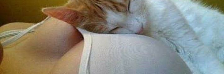 _lulufranco's profile banner image